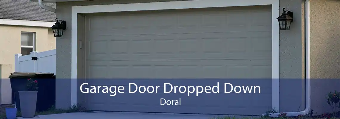 Garage Door Dropped Down Doral