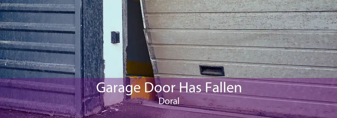 Garage Door Has Fallen Doral