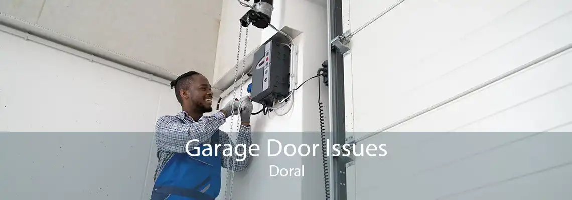 Garage Door Issues Doral