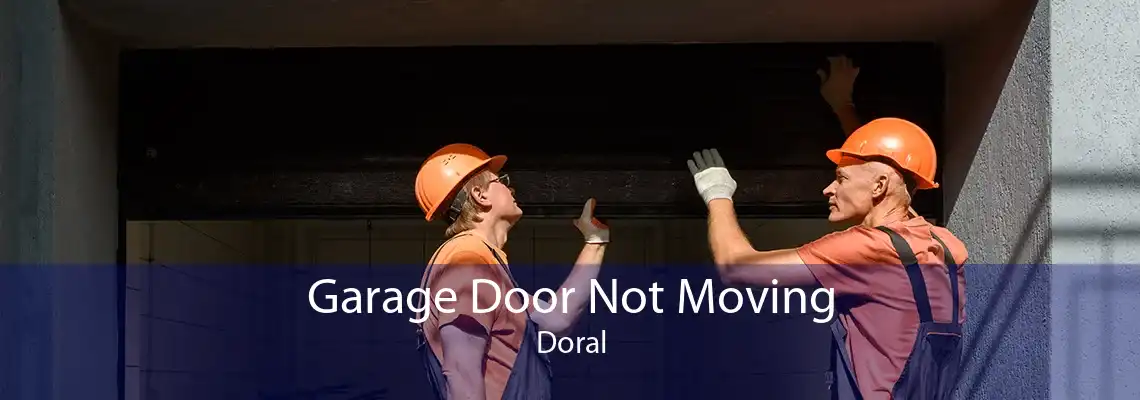 Garage Door Not Moving Doral