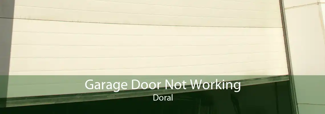 Garage Door Not Working Doral