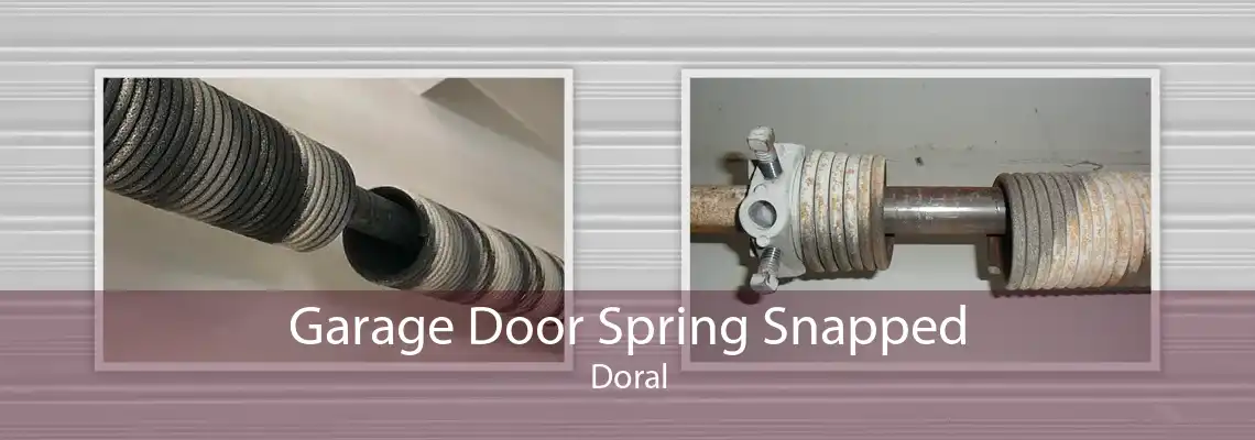 Garage Door Spring Snapped Doral