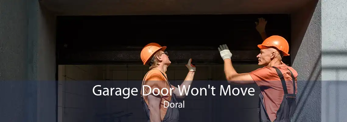 Garage Door Won't Move Doral