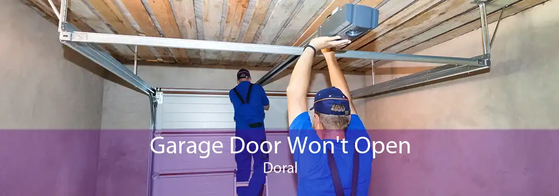 Garage Door Won't Open Doral